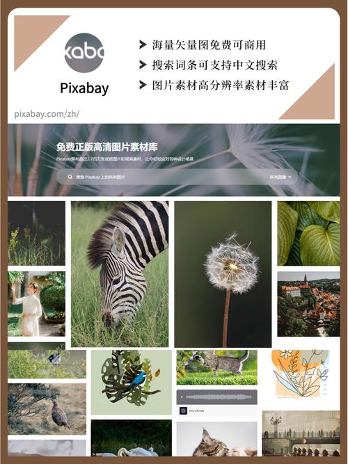 新闻中心 第38页