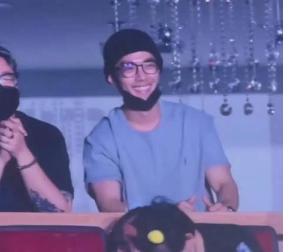 肖战看孙燕姿演唱会,肖战看孙燕姿演唱会是真的吗