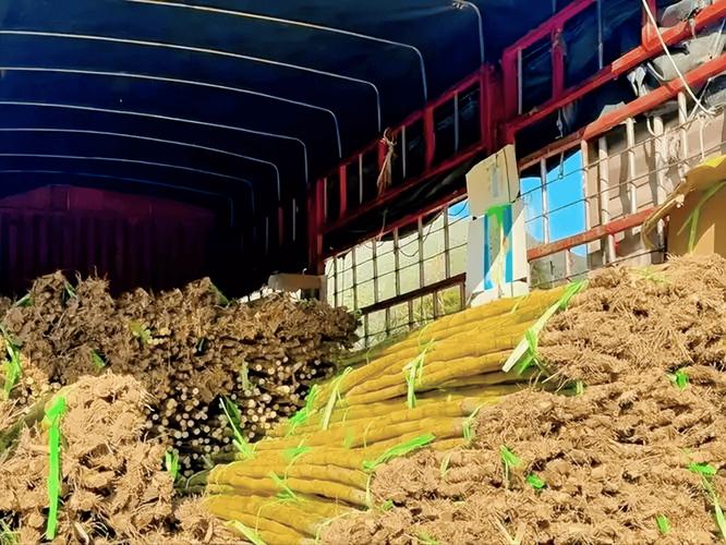 美大豆销量骤降50%,美大豆销量骤降50亿
