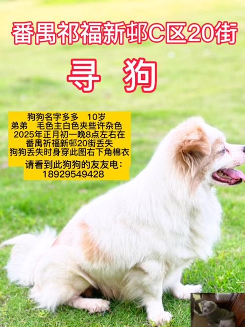 下载中心 第6页